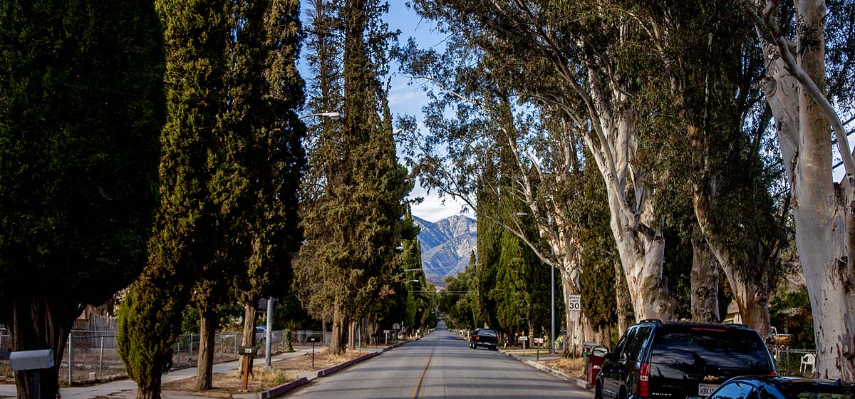 central-banning-neighborhood image