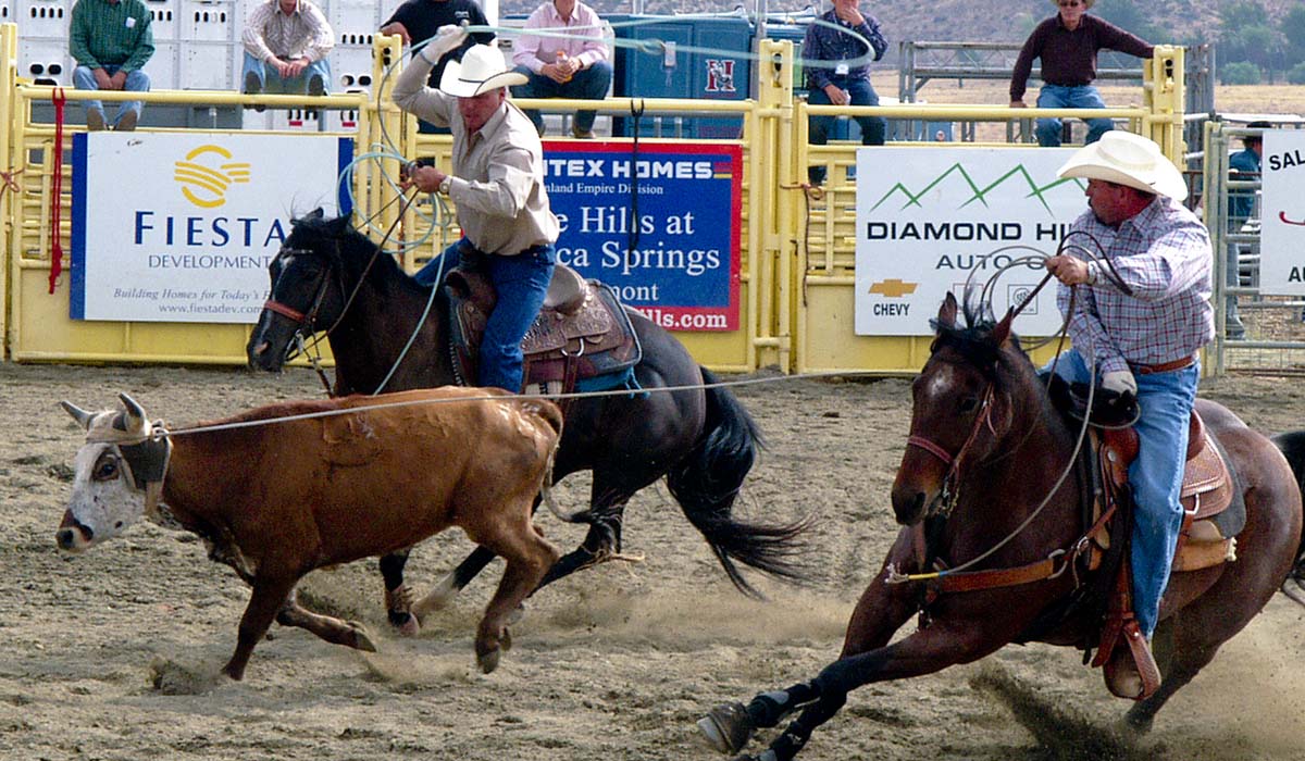 PRCA Pro Rodeo image