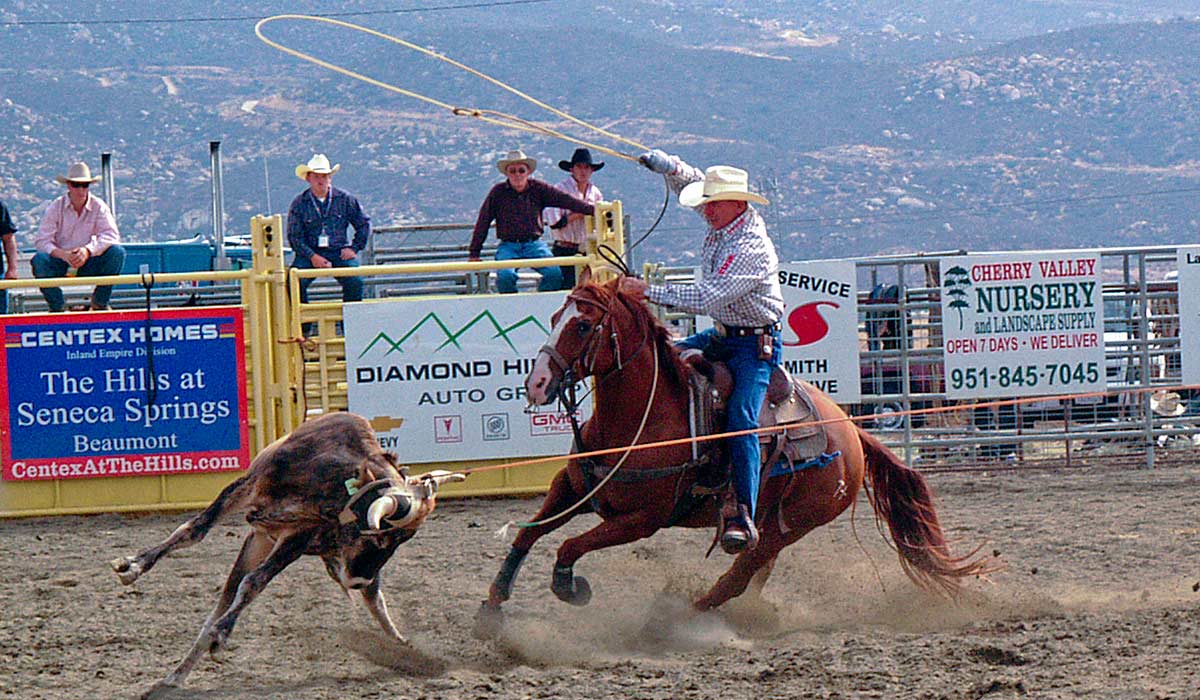 PRCA Pro Rodeo image