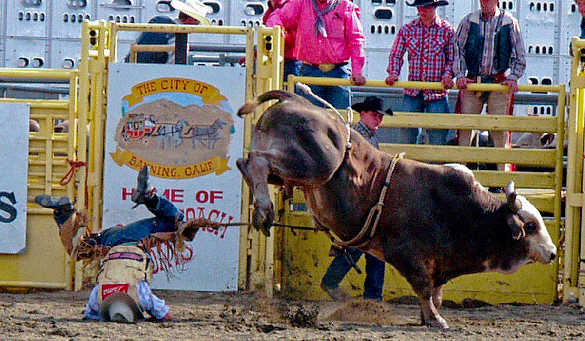 PRCA Pro Rodeo image