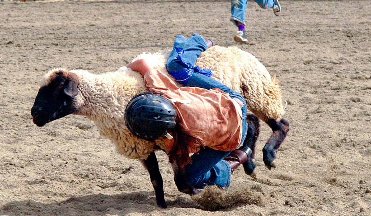 PRCA Pro Rodeo image