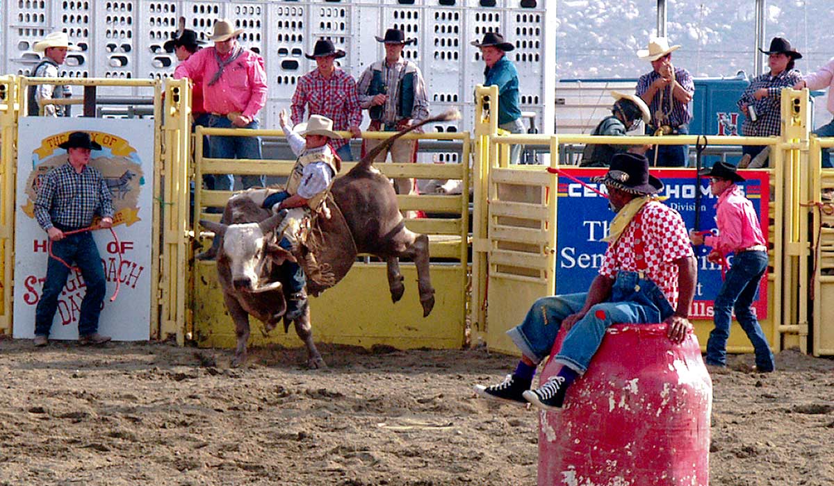 PRCA Pro Rodeo image