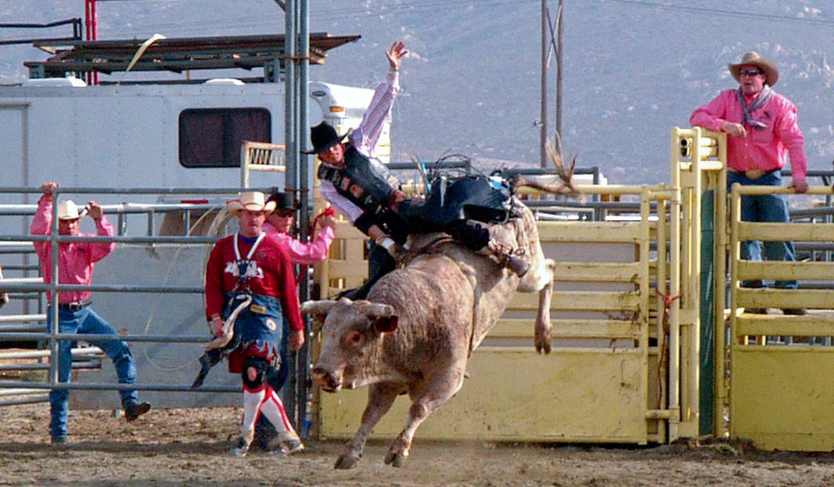 PRCA Pro Rodeo image