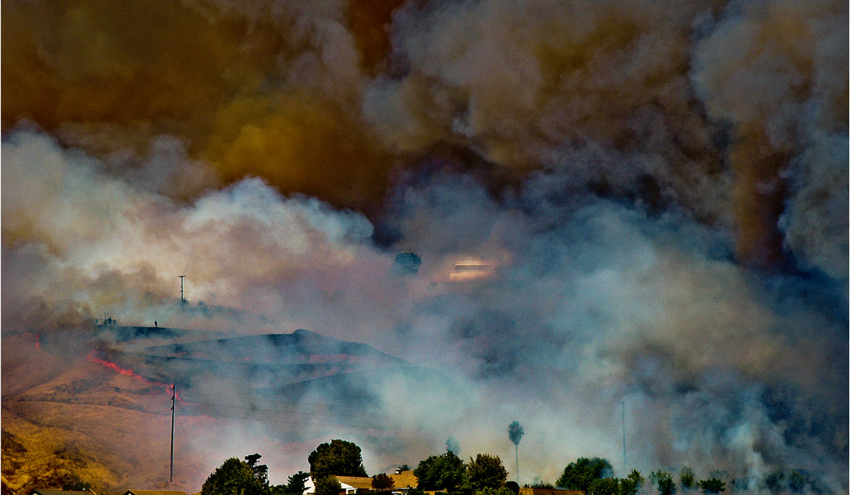 Sepulveda Builders INC image