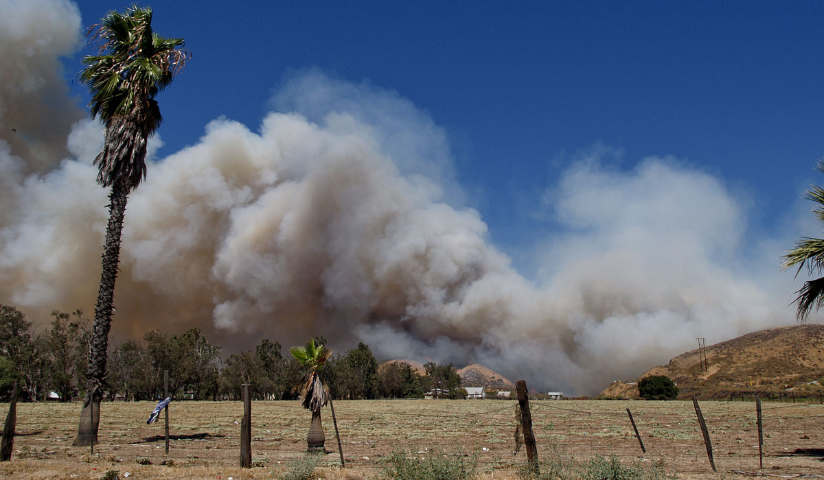 Sepulveda Builders INC image