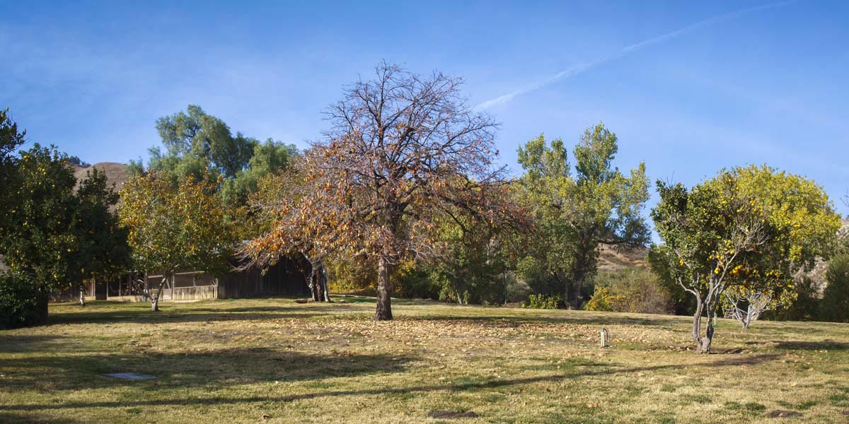 central-banning-4t-street image