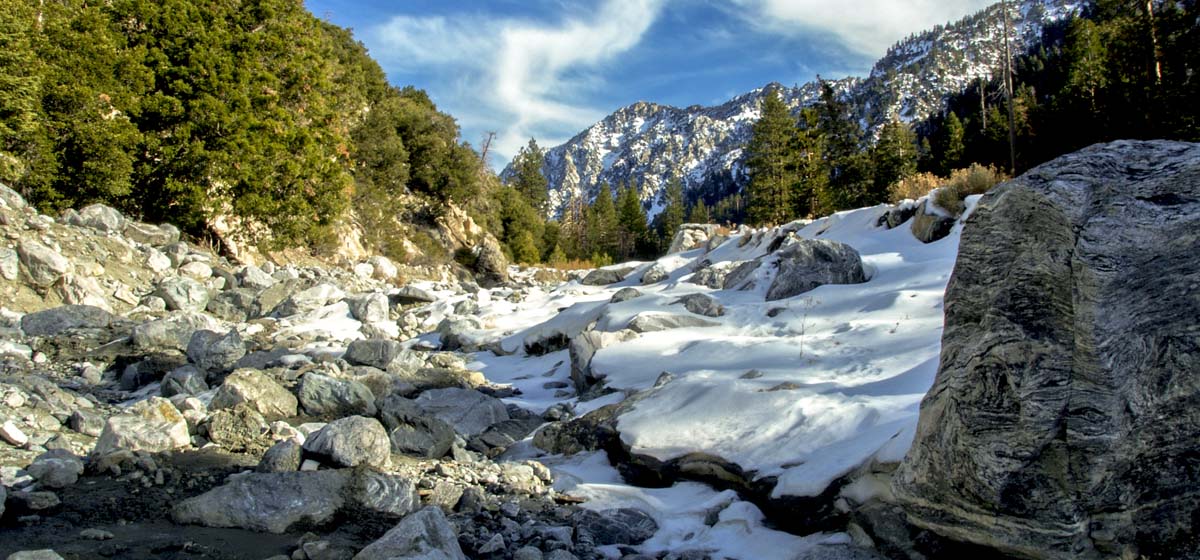 Sepulveda Builders INC image