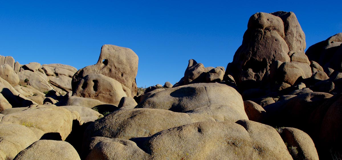 nearby-joshua-tree image
