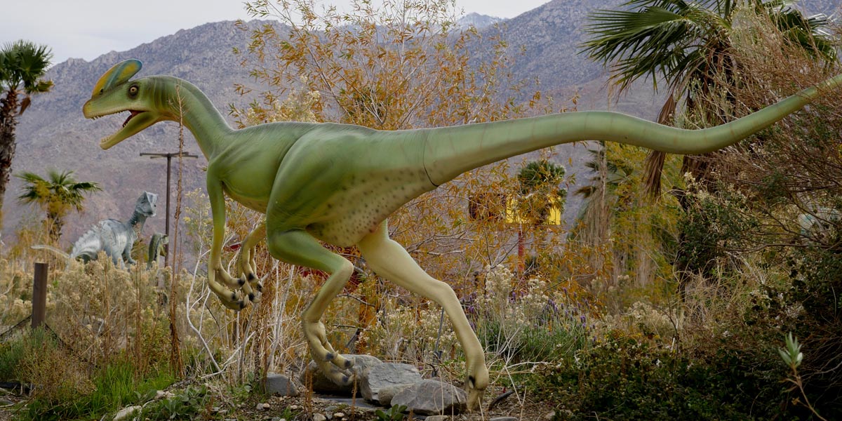 banning-central-san-gorgonio image