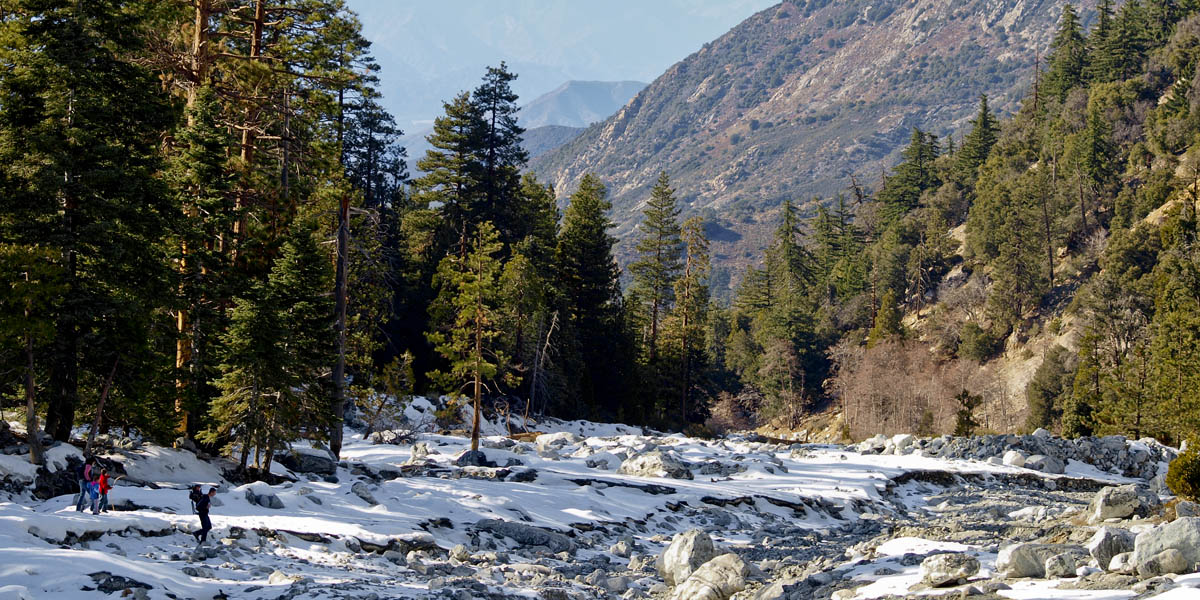 Forest Falls image image