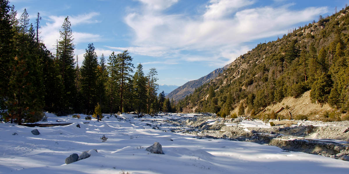 Forest Falls image image