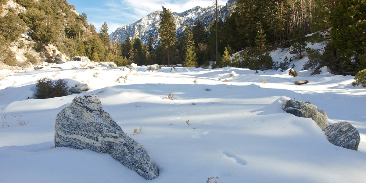 Forest Falls image image