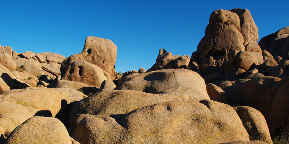 Joshua Tree Park image