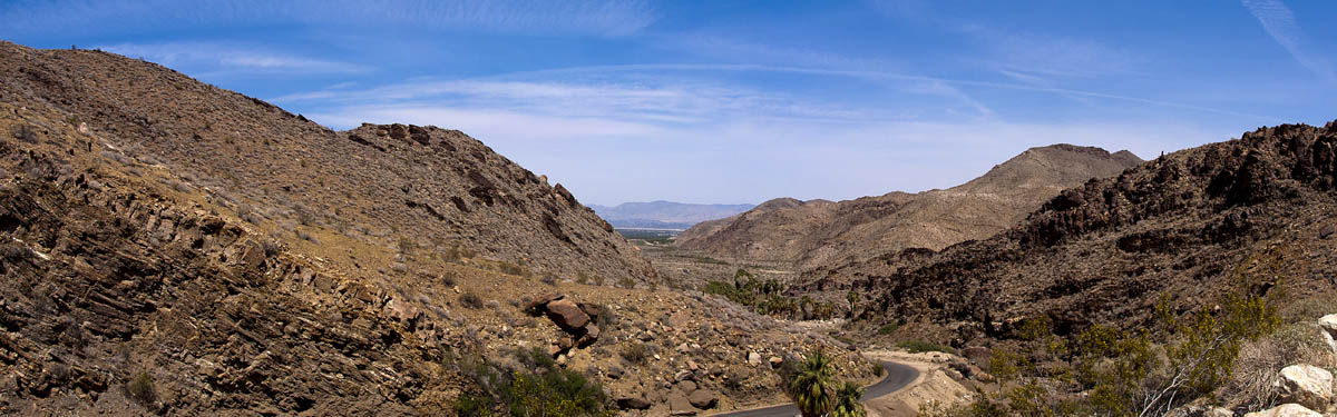 Palm Canyon Image