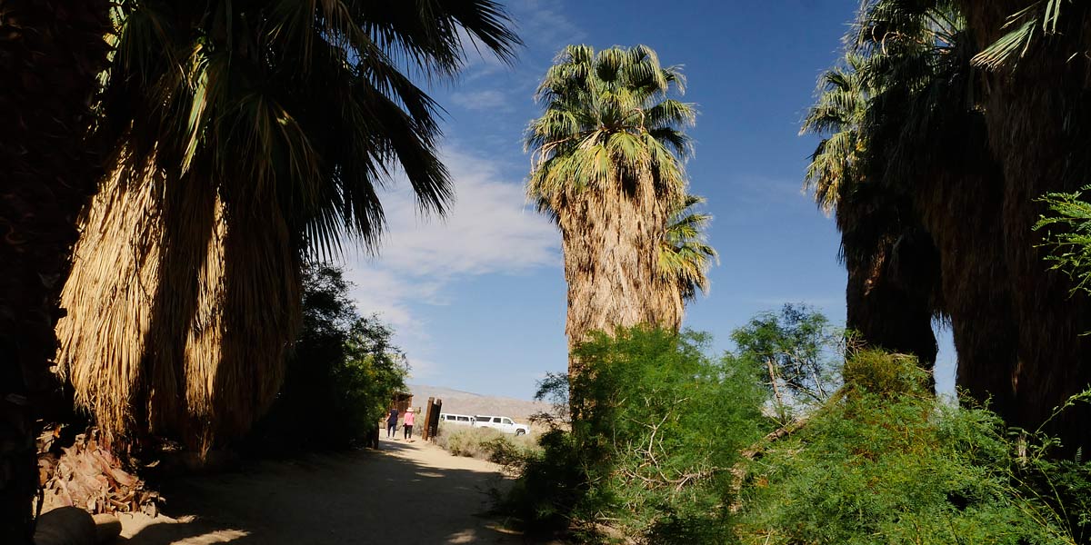 Cochella Preserve