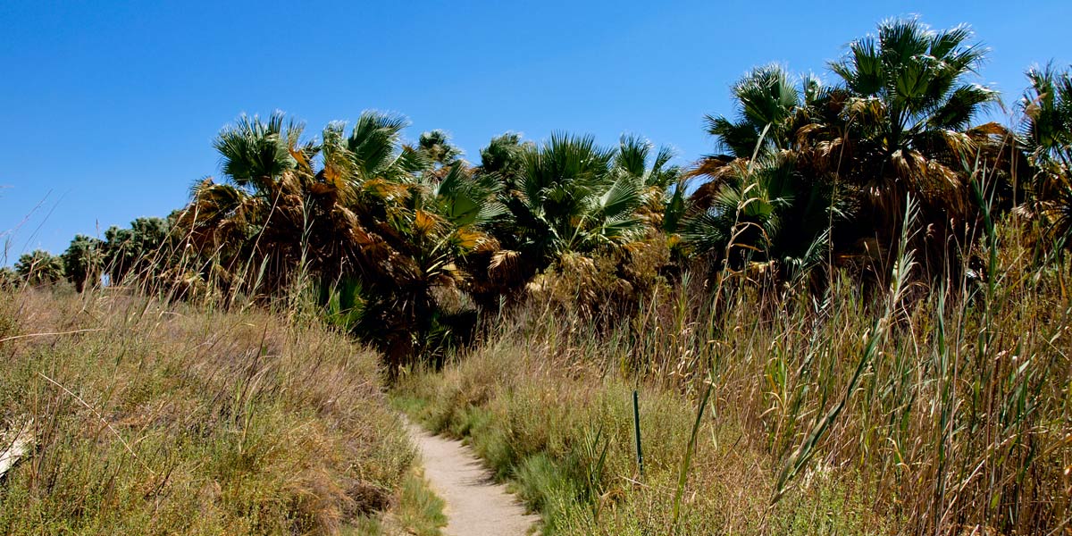 Cochella Preserve
