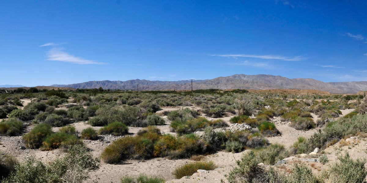Cochella Preserve