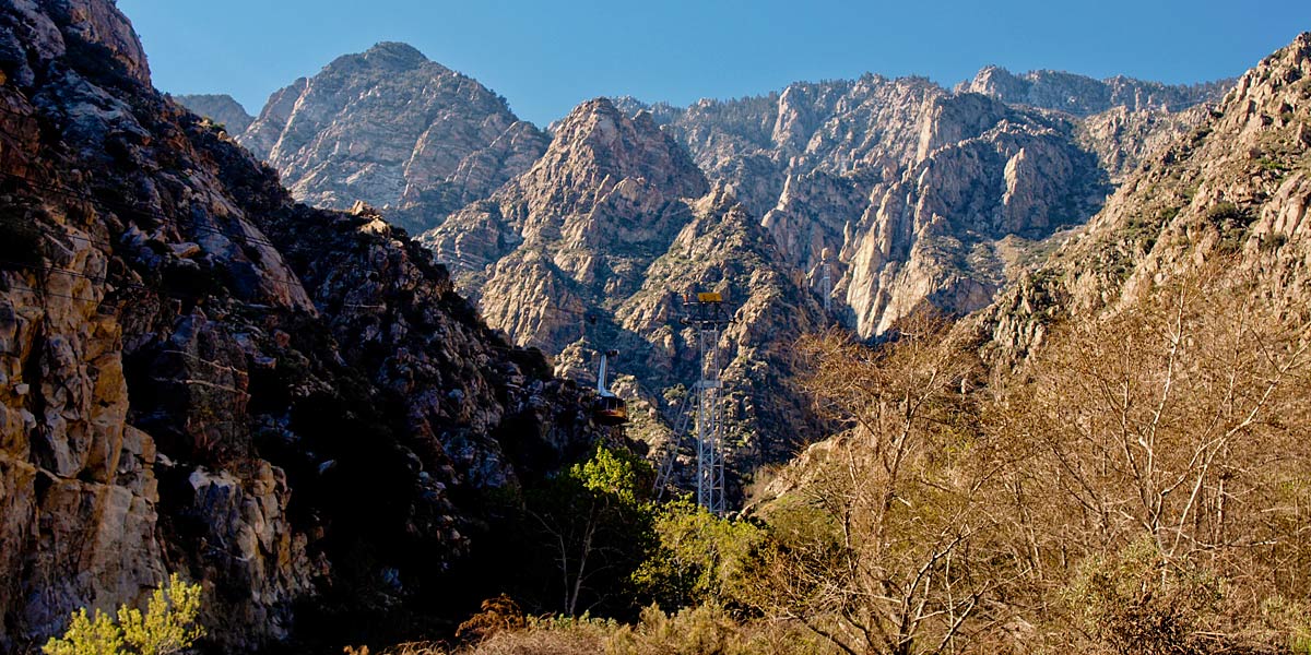 Joshua Tree Park image