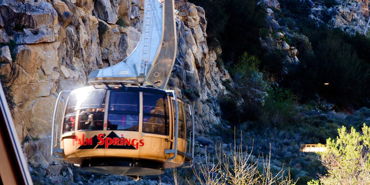 Joshua Tree Park image