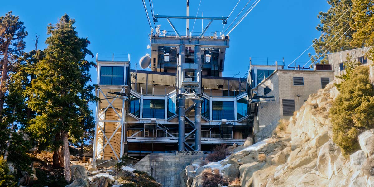 Joshua Tree Park image