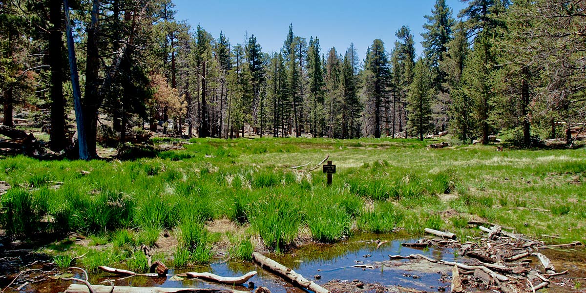 Joshua Tree Park image
