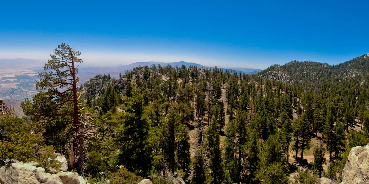 Joshua Tree Park image