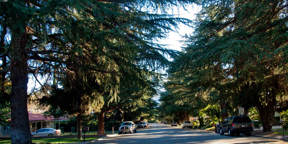 4th St. south of Gilman Rd. Banning Ca