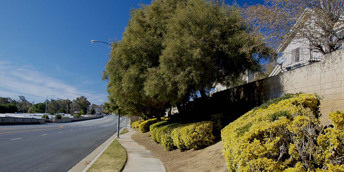 west Banning West Wilson