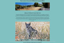 Wildwood Canyon Hikes