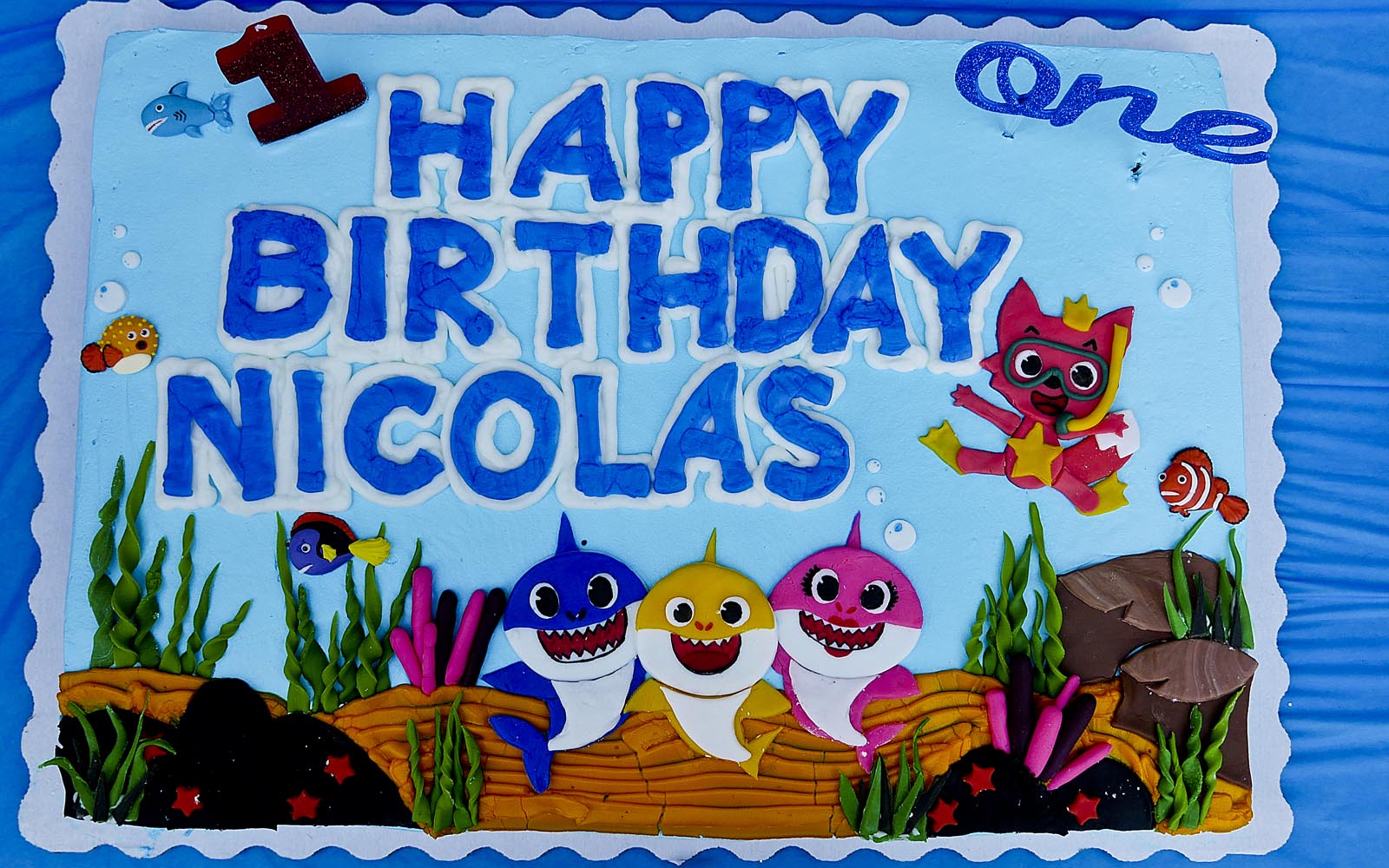 Nicolas 1st Birthday Pictures